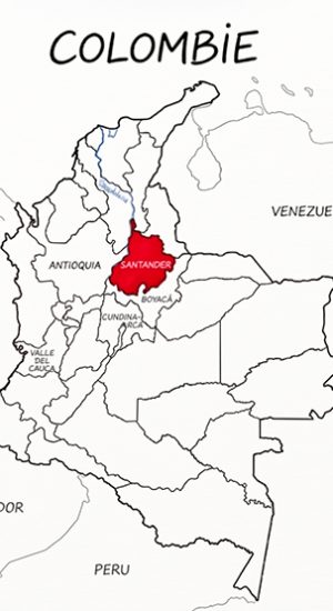NOUS colombie region de santander cafe de santander