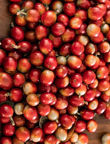 cafe de colombie grains murs meilleur cafe du monde