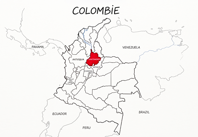 NOUS colombie region de santander cafe de santander